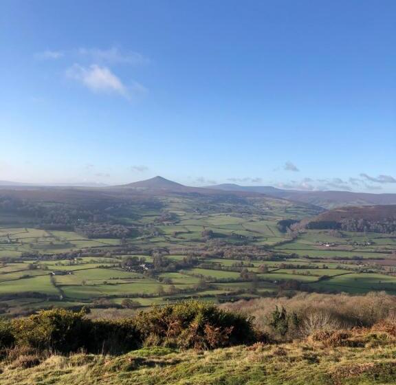 مبيت وإفطار Mount Street House