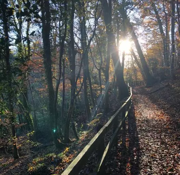 Aamiaismajoitus (B&B) Mount Street House