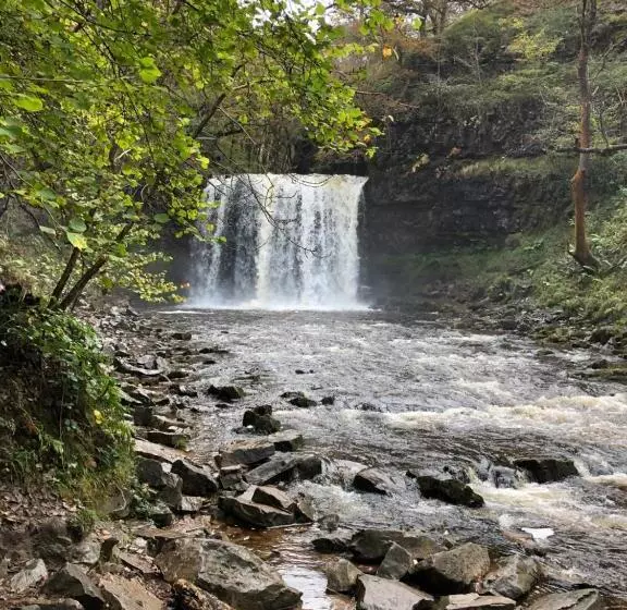 Aamiaismajoitus (B&B) Mount Street House