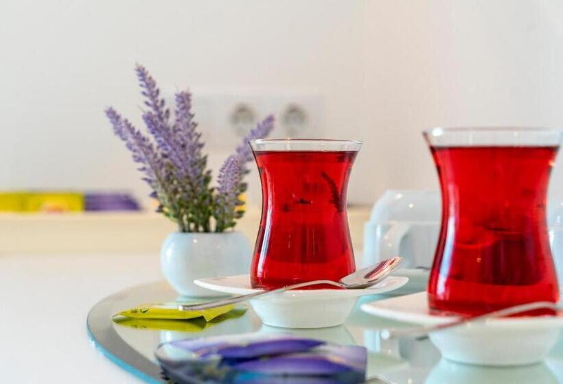 בית מלון כפרי Mosso Boutique