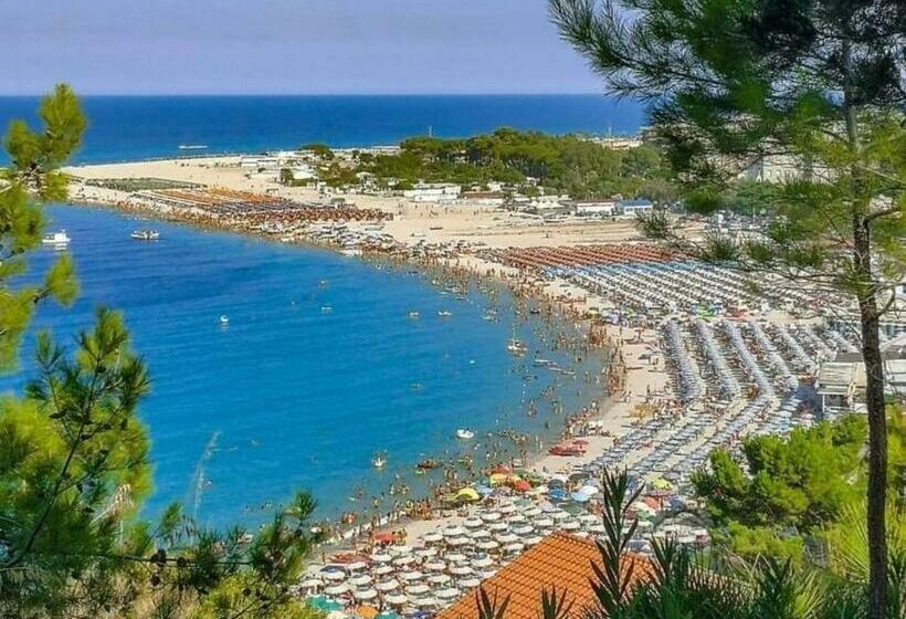 פנסיון Amirante