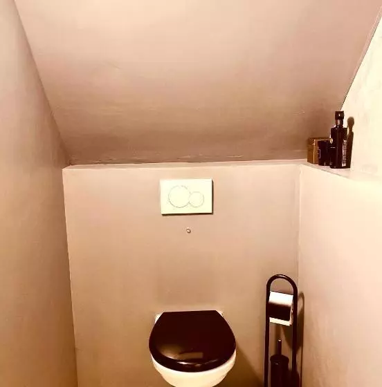 Atelier Raamwerk City Apartments Deventer 125m2!