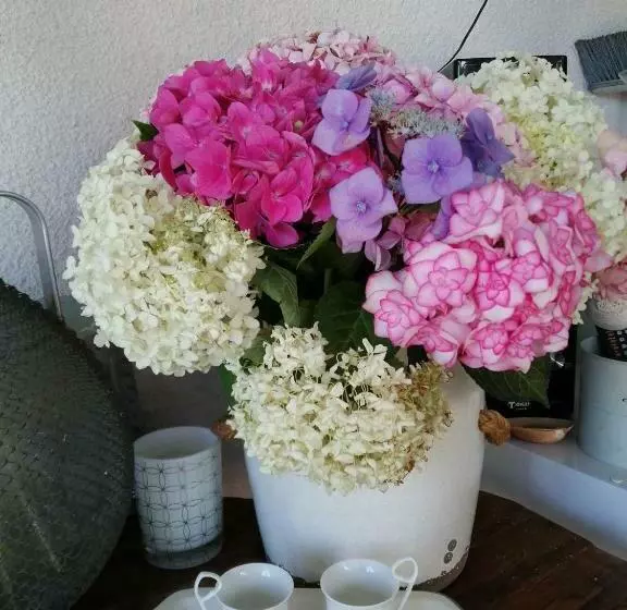 ベッドアンドブレックファースト Chambre D Hôte Margot Te