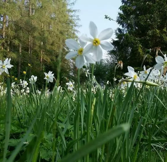 Sporthotel Grünau   Wimmergreuth