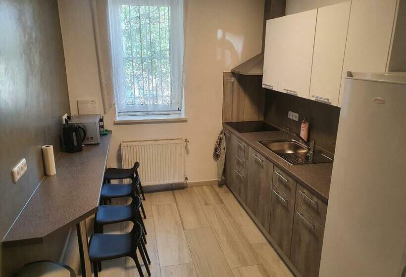 汽车旅馆 Penzion Duhet