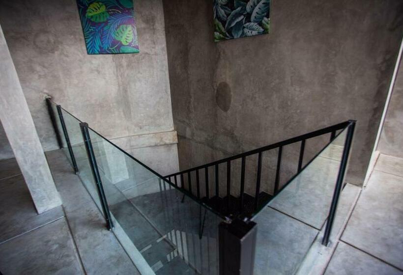 פנסיון Escotel Vanili Guest House