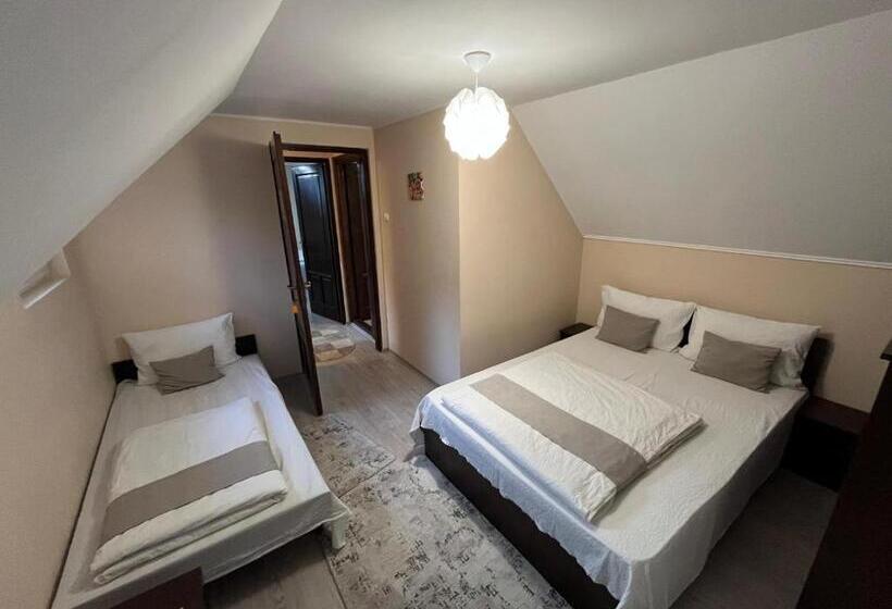 پانسیون Matyas Vendeghaz