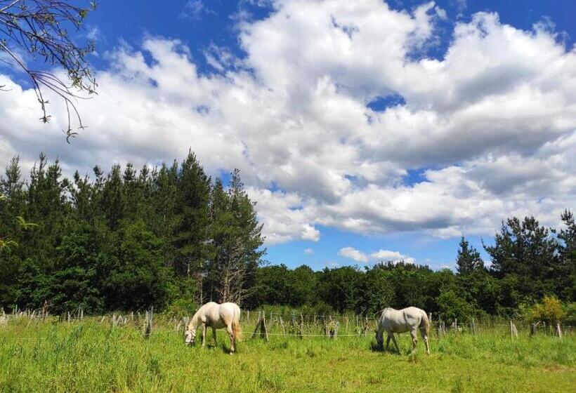 Pensionat O Fogar Do Monte