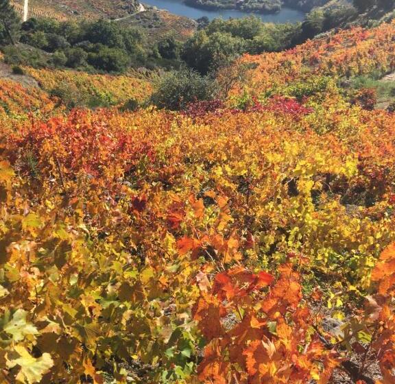 Pensionat O Fogar Do Monte