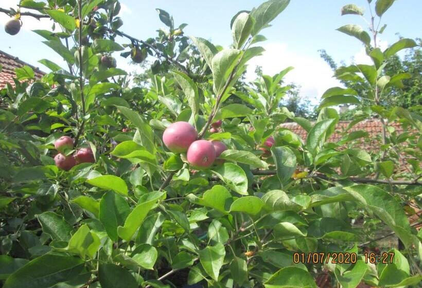 Пансион Pêssego Al