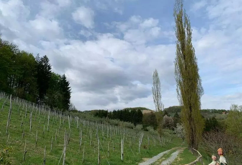 ユースホステル Koschak Wirt & Weinbauer