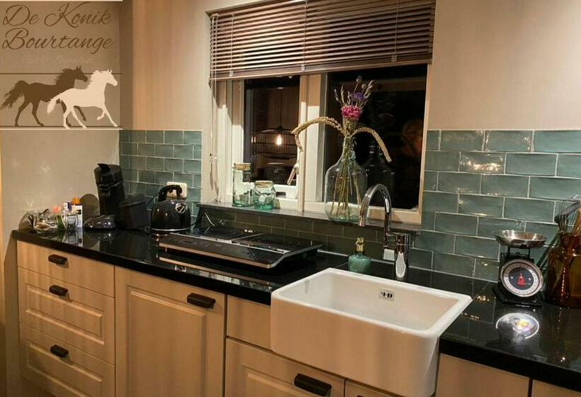 B&b De Konik Bourtange