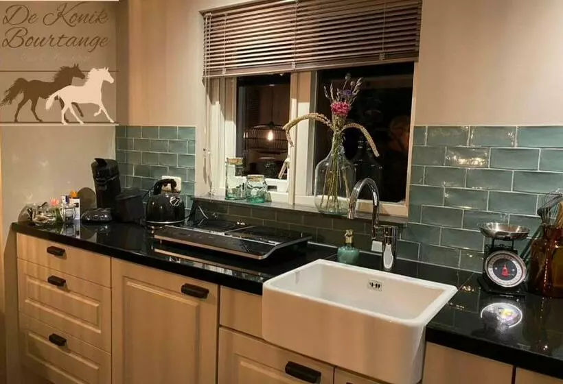 B&b De Konik Bourtange