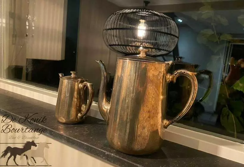 B&b De Konik Bourtange