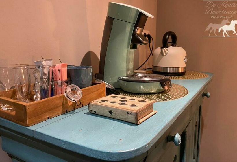 B&b De Konik Bourtange