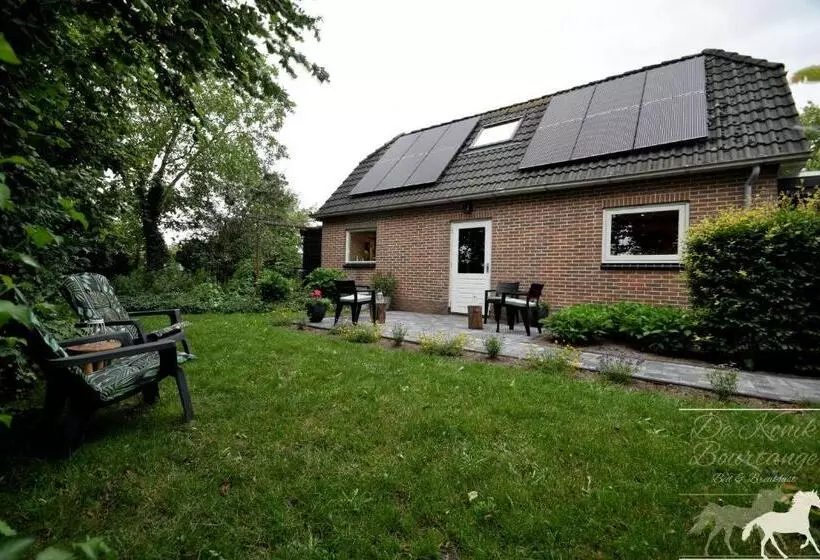 B&b De Konik Bourtange
