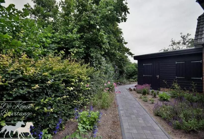 B&b De Konik Bourtange