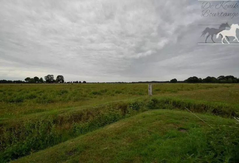 B&b De Konik Bourtange