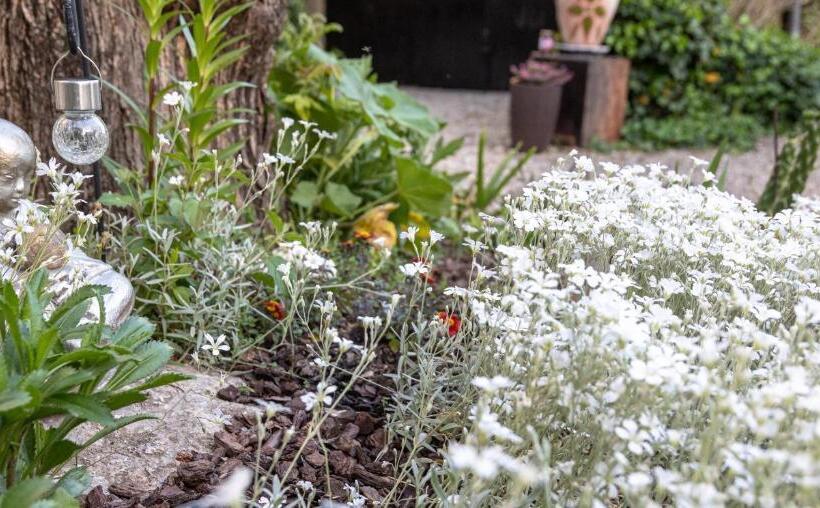 Bed and Breakfast La Bastide De Canaules