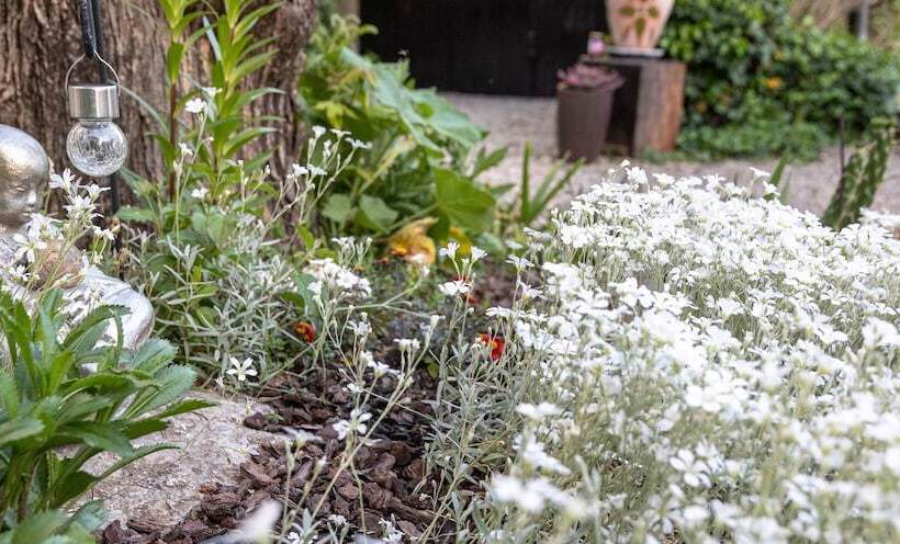 住宿加早餐 La Bastide De Canaules