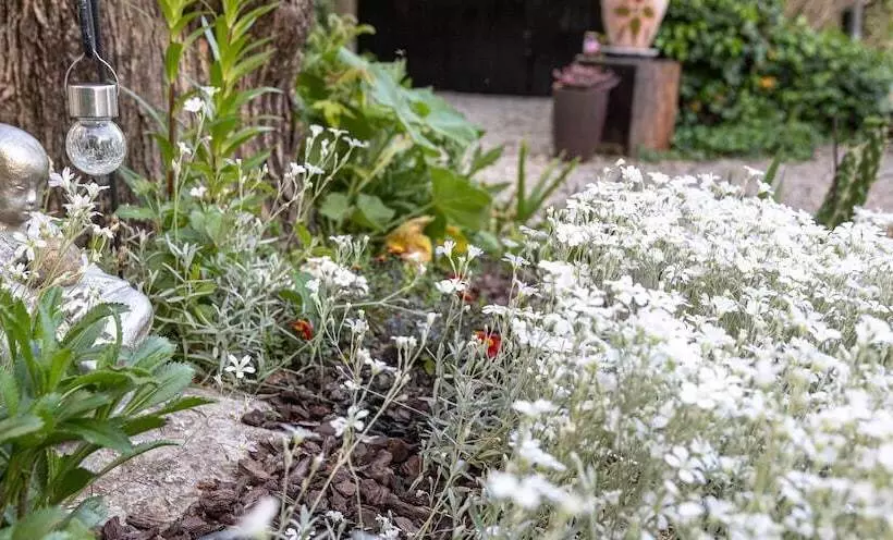 Aamiaismajoitus (B&B) La Bastide De Canaules