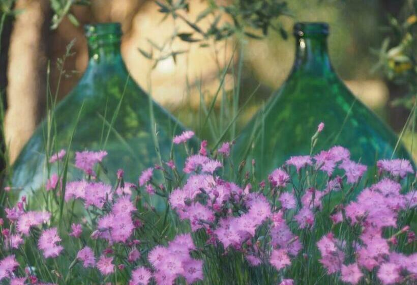 Bed and Breakfast Lo Scoiattolo