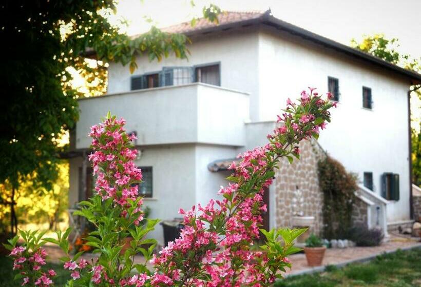 Bed and Breakfast Lo Scoiattolo