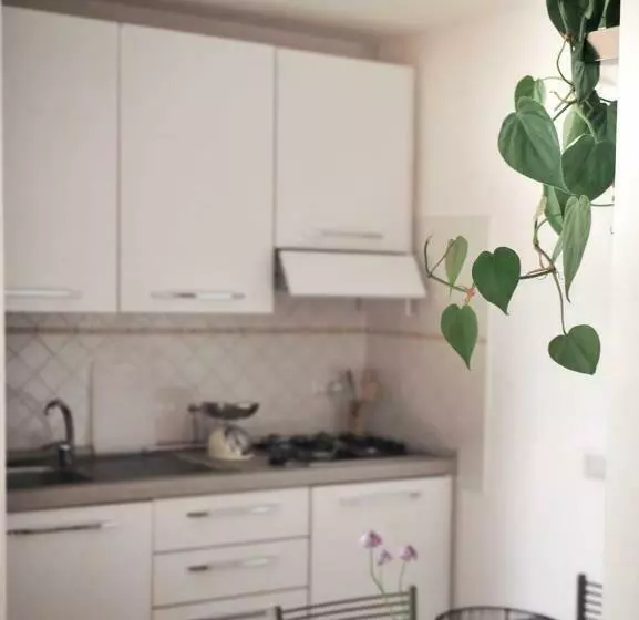 Aamiaismajoitus (B&B) Lo Scoiattolo