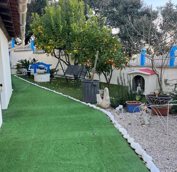 پانسیون Vivenda Soares