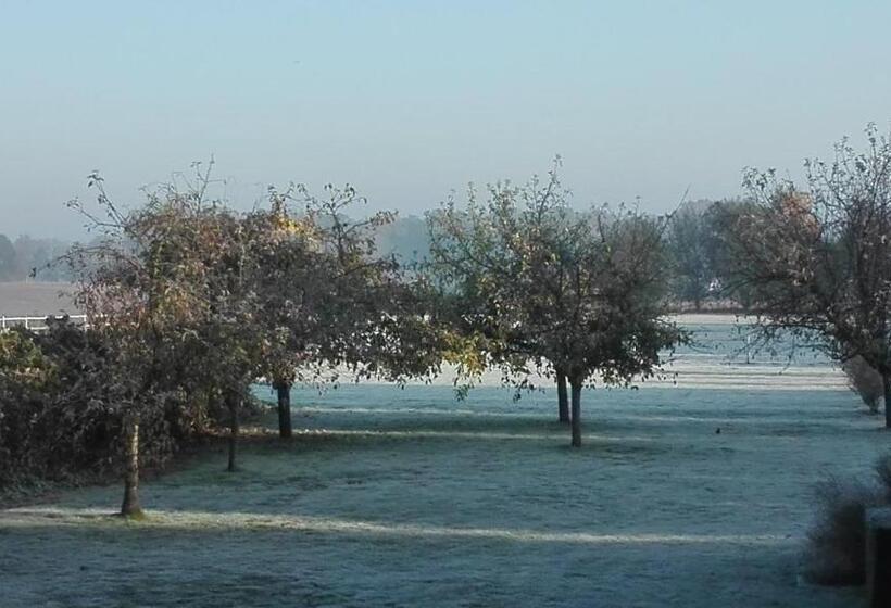 צימר Little Cottage