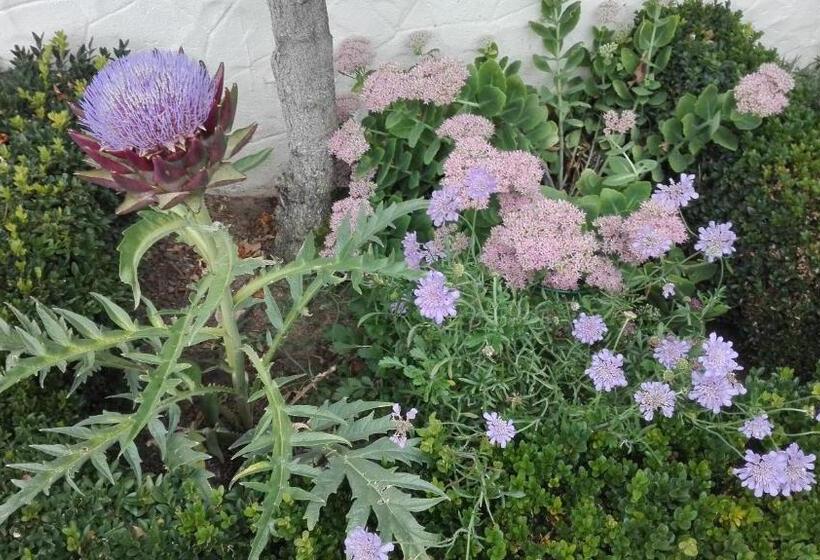 צימר Little Cottage