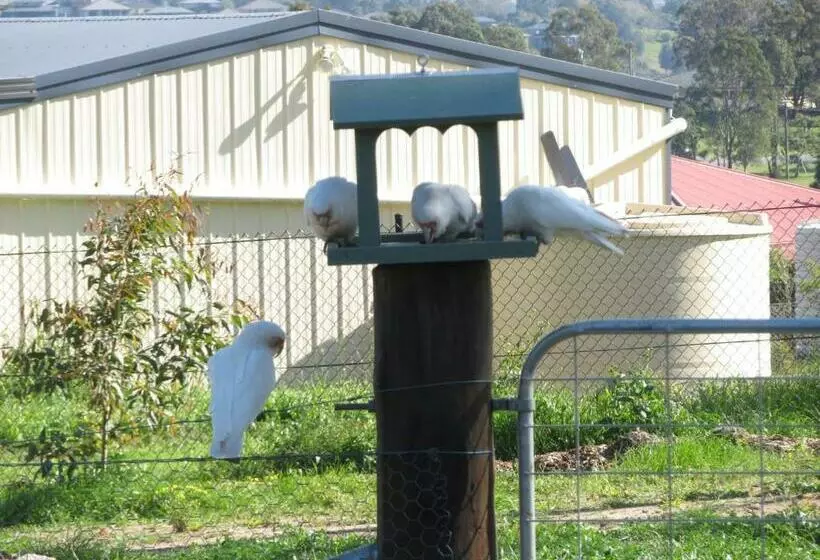 Aamiaismajoitus (B&B) Mala Retreat Chardonnay Studio Immaculate And Comfortable