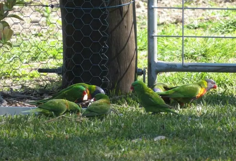 Aamiaismajoitus (B&B) Mala Retreat Chardonnay Studio Immaculate And Comfortable