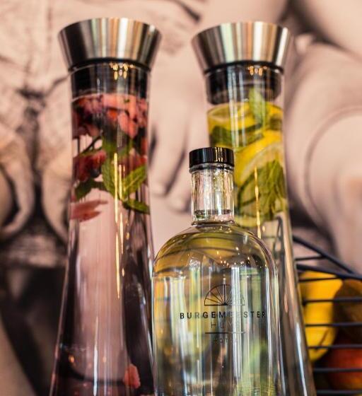 ホテル Burgemeesterhuys