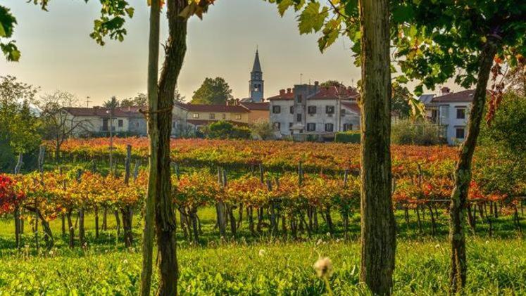 Hostel Sezanalokev B&b