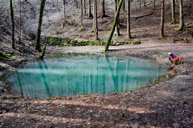 Hostel Sezanalokev B&b