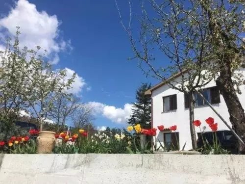 Hostel Sezanalokev B&b