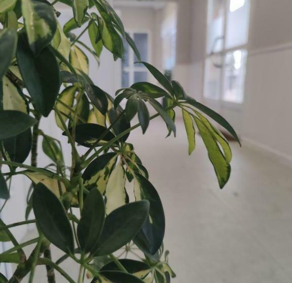 膳宿费 Hostal Vegas Bajas