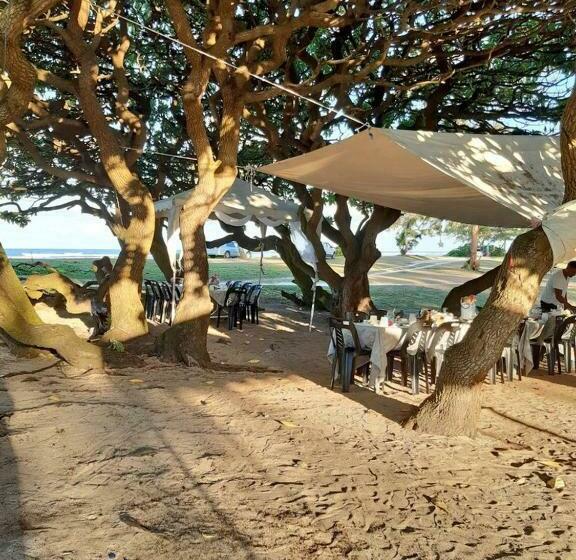 Pansiyon La Koquillishe