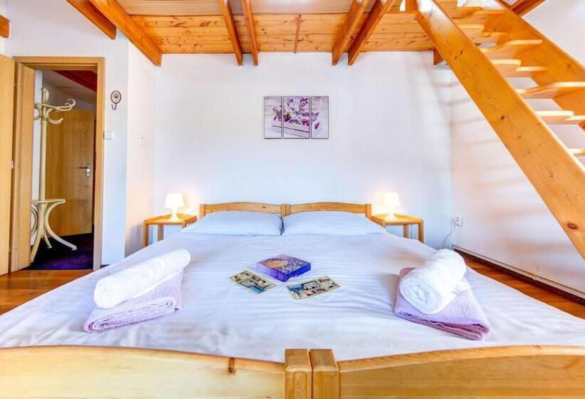 פנסיון Penzion Petra