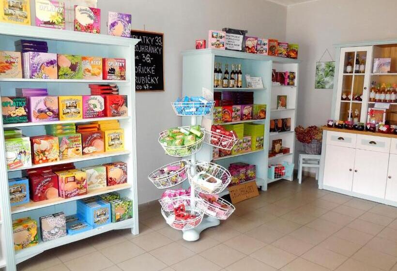 פנסיון Penzion Petra