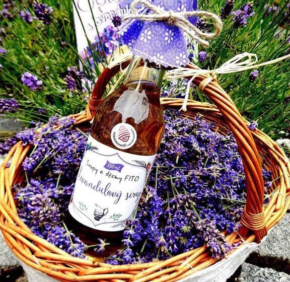 פנסיון Penzion Petra