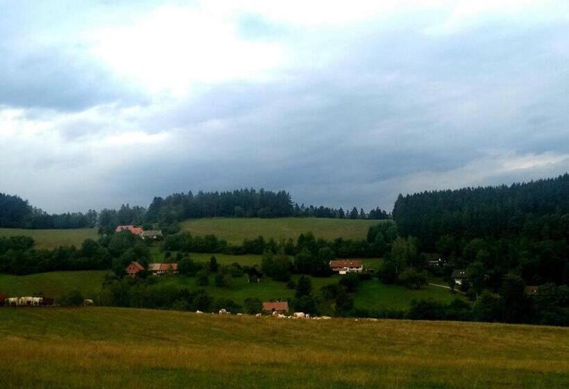 פנסיון Penzion Petra