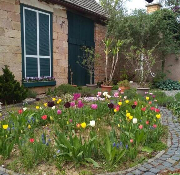 פנסיון Penzion Petra