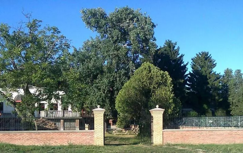 ユースホステル Göncölház