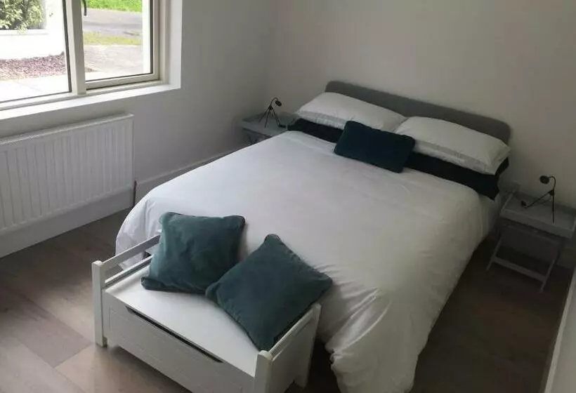 ペンション Carrick On Shannon Guest House