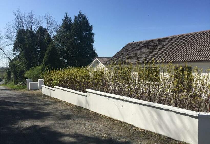 פנסיון Carrick On Shannon Guest House