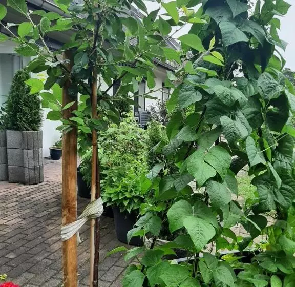 ペンション Landlust!