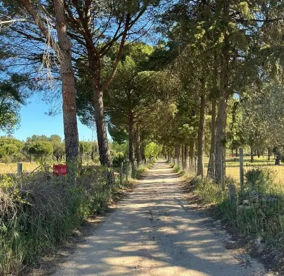 ベッドアンドブレックファースト Amendoeirashouse