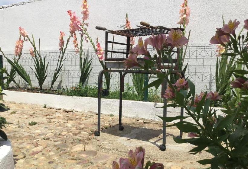 تختخواب و صبحانه Amendoeirashouse